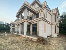 新出|宝中壹方城旁法式双拼别墅|急售|毛坯实用千平|捡漏机会