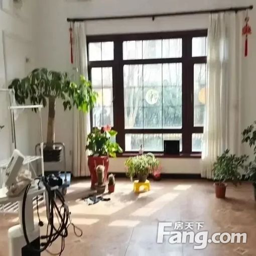  �¸绪ɭ�� ��ҵ�����׳� �ɳ���ɹ��� ��ʱ���� �ǳ������� 