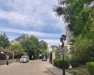 10米大挑空,临水系,框架结构,随意设计户型,大楼间距