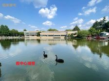 692平岛屿大宅 占地2170.5平 南临大河