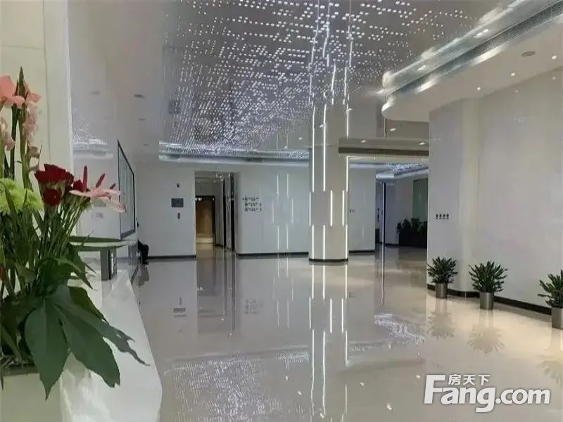 内景图