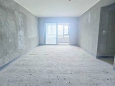 大平层头牌看公园,看镜湖,看阳光大草坪