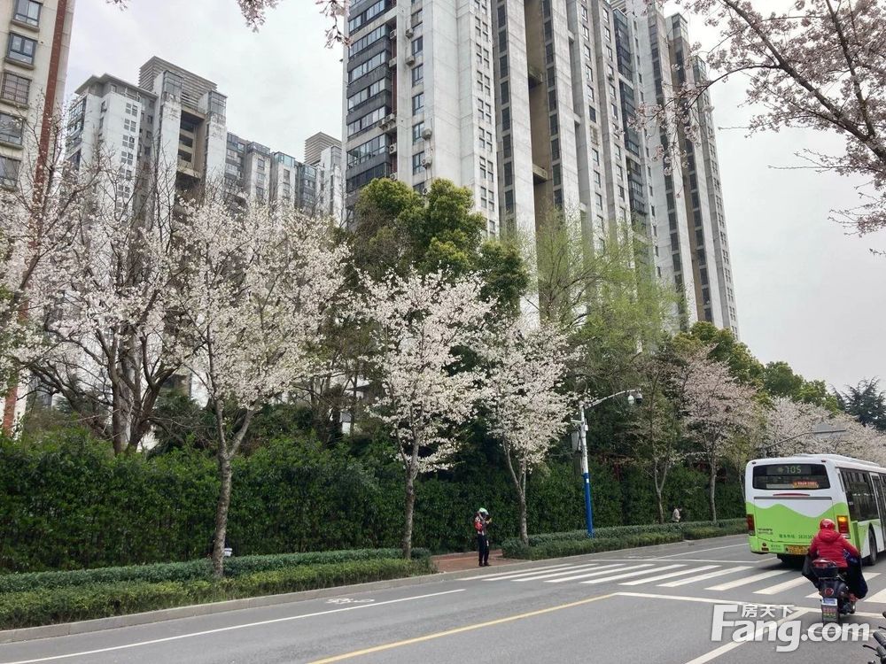小区相关图