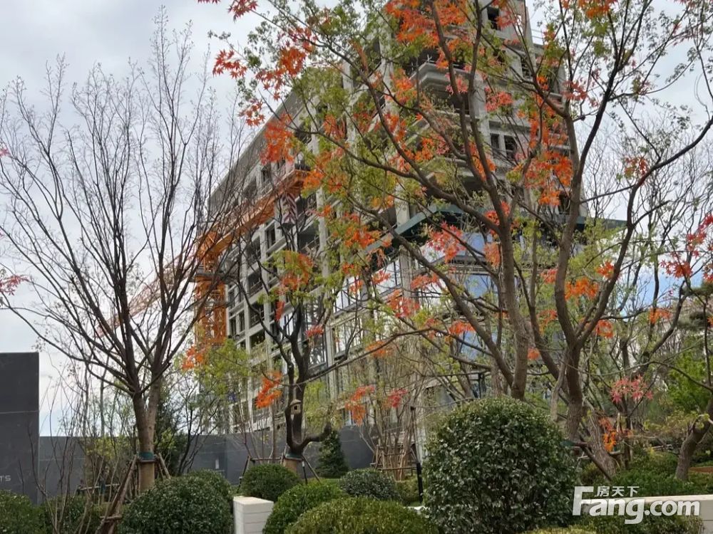 室内图