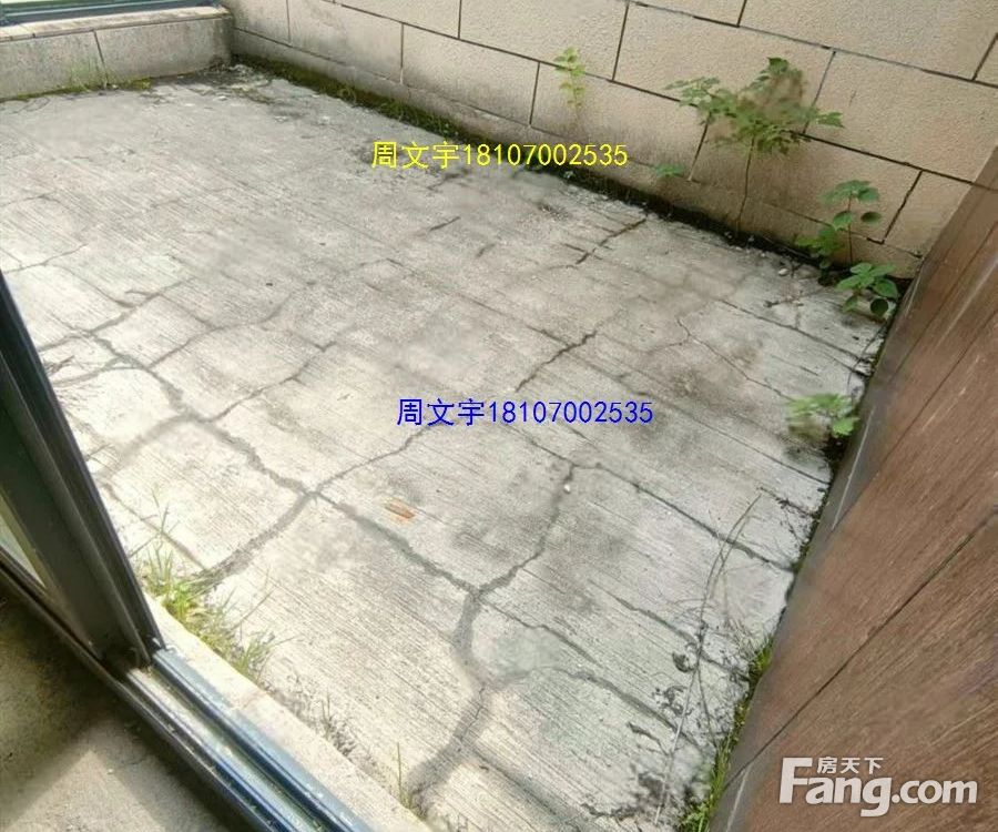 室内图