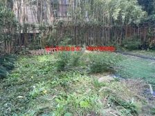 万科品质 送60平超大院子 采光好 送20w产权车位 税费少