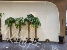 美术馆地铁口 丰隆城市 豪装带家具湖景330平特价 车位充足