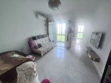 松江友谊北苑南北通透一居室 满二精装电梯顶楼