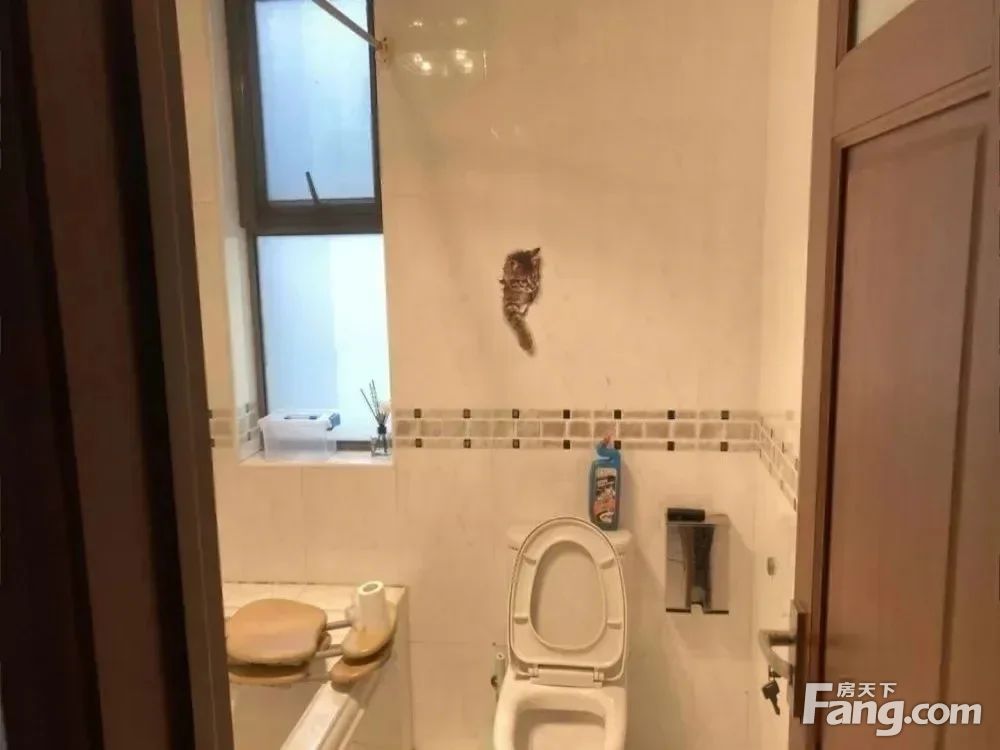 室内图