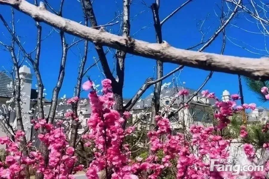小区相关图