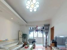 怡园小区 南北向简装修 电梯房 业主急售 可谈价 送物业急售