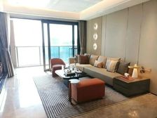 新塘335复式豪宅 保利天际四房 地标建筑 20到广州东站