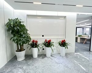 玻璃幕墙独门独栋独院金地威新一口价2万急售二手业主赔钱拍抛售