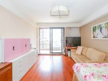 电梯中高区 1室2厅 全明 双南大阳台 产权车位 建平未用