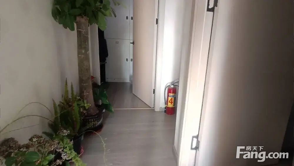 内景图