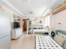 徐汇龙华小高层带电梯 全南两房 性价比很高 业主诚意出售