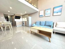 东部必看,高品质豪装,拎包入住,配套设施全!