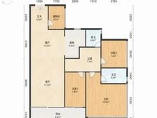 剪露 因工作调去上海 急售 随时看 来电详谈!