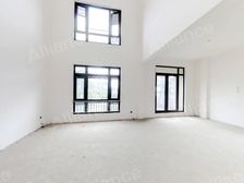 纯毛坯 新区玫瑰园 200平大花园 边户类独栋 9米挑高