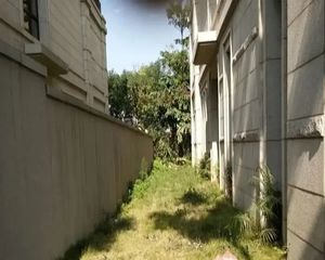 万科朗润园 实用面积600平 南北朝向大花园仅售550万