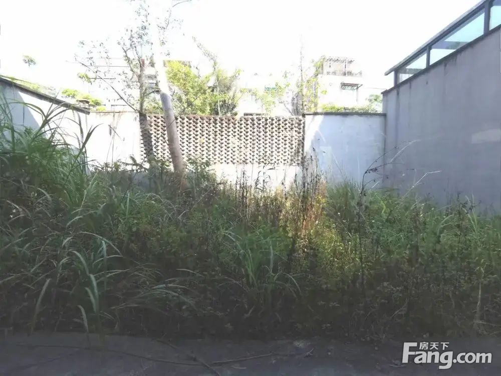 室内图