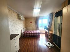 菜户营丽泽万润风景东南精装一居 满五 高层视野佳