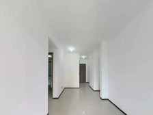 中建·凤榕台 急售 送车位 南向 中层 精装 近凤岗地铁口