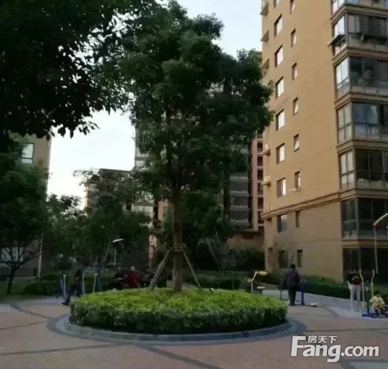 小区相关图