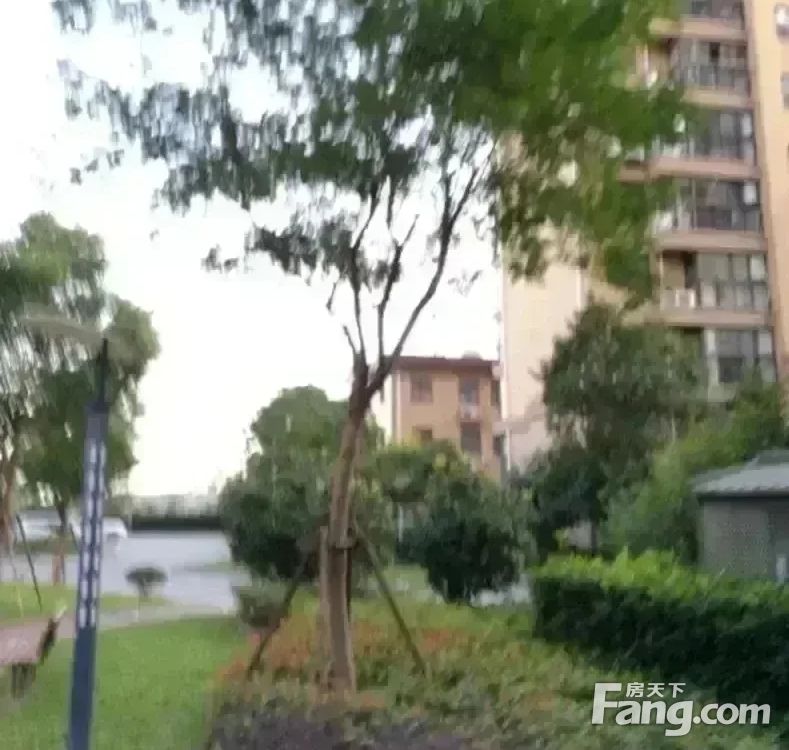 小区相关图