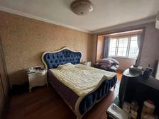 星纪花苑(南区) 正南朝向 出行方便 商业配套齐全 精装修