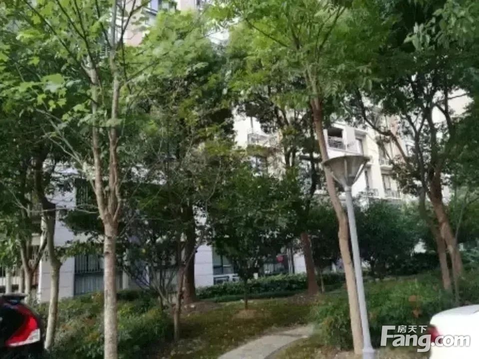 小区相关图