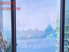 南山蛇口(太子湾)320平 豪华精装修 一线海景房 宜居住