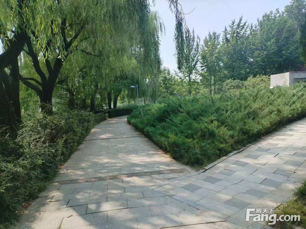 内景图
