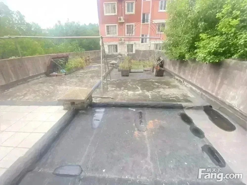 室内图