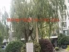 出门就是地铁口 新普陀 居家 可拎包入住 送产权车位