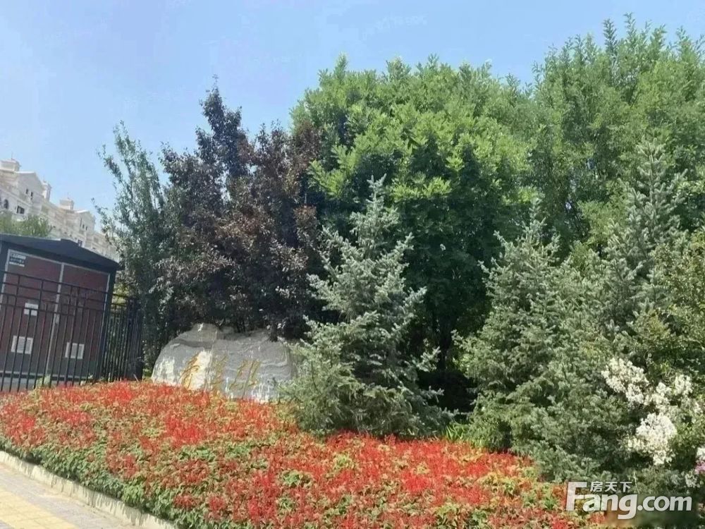 小区相关图
