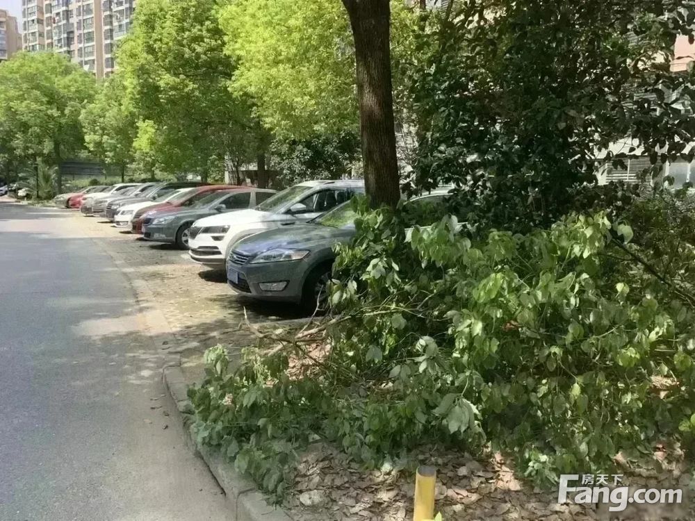 小区相关图