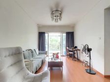 岭南新世界 业主包税 送车位 业主急售 北向精装修 随时签约