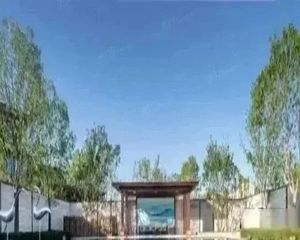 1020W高性价比法式联排 500平大边户, 随时看房