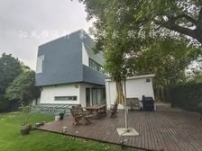 虹桥商务区 沁风雅泾轩 花园1600平 临河 私家泳池