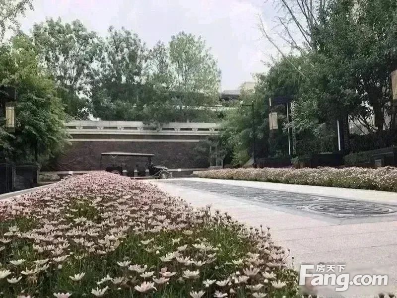 小区相关图