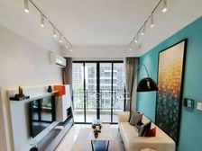 L品秀新图新塘 13号线官湖站口 读华师 配套成熟 交通方便