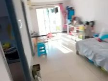 鸿博家园(一期B区)大2居精致装修南朝向采光好电梯房