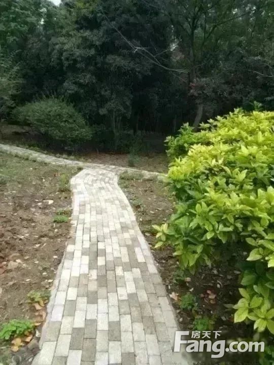 小区相关图