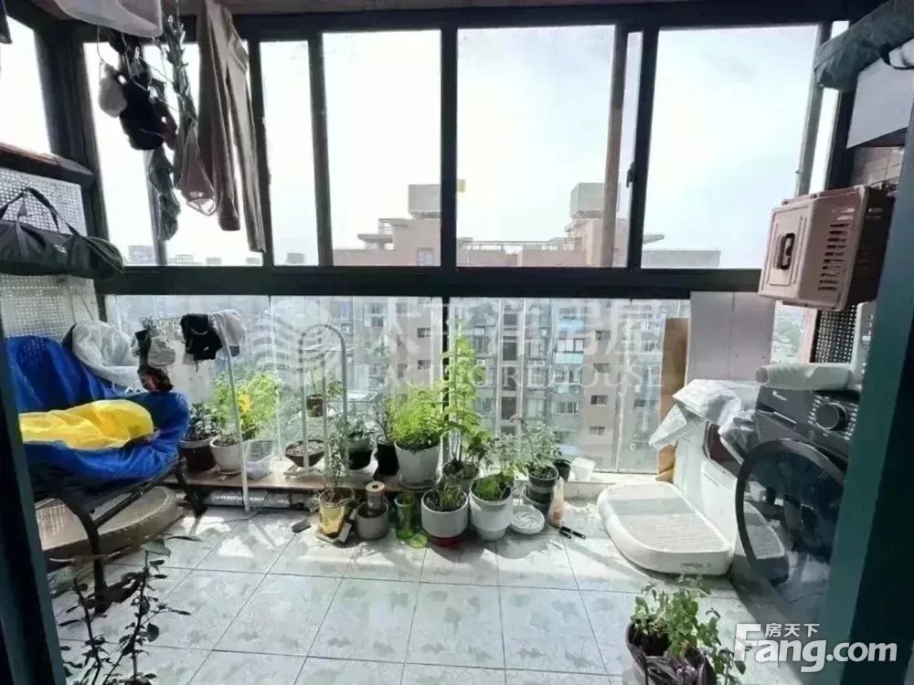 室内图