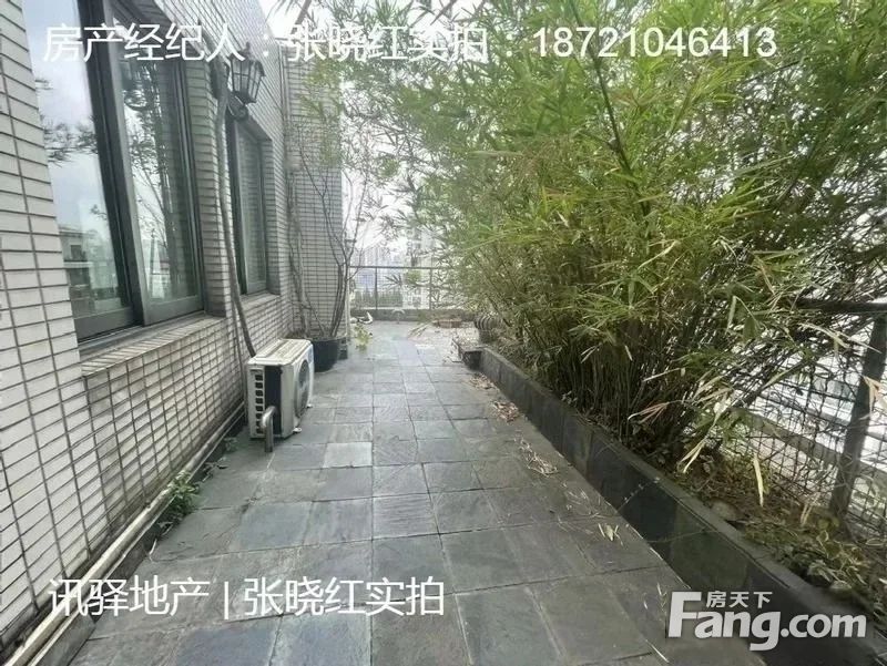 室内图