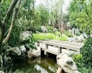 未来科学城500平高端别墅 8.1超大面宽 私家车库可停三辆