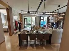 急售科学城现房别墅 11米大面宽 单层120平 私家花园车库