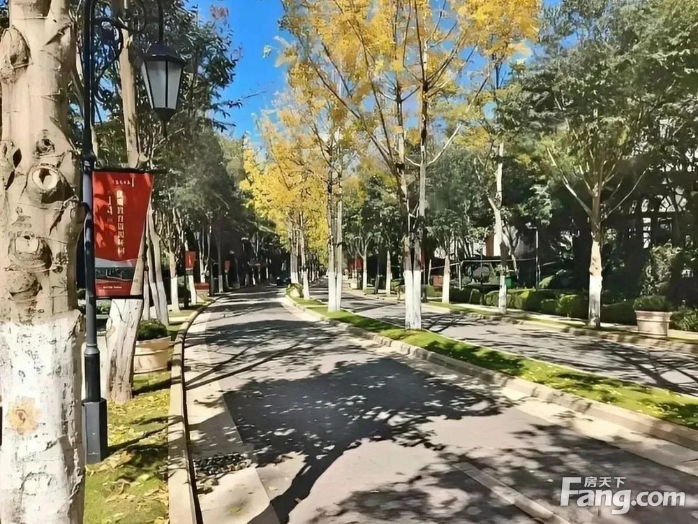 小区相关图