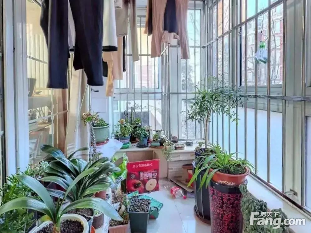 室内图
